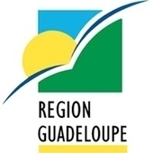 Situation financière de la Collectivité régionale : 29 maires répondent à l’invitation d’Ary Chalus (Guadeloupe) | Revue Politique Guadeloupe | Scoop.it