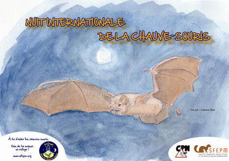 Nuit Internationale de la Chauve-Souris - SFEPM | Biodiversité | Scoop.it