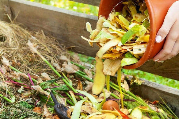 L’histoire peu connue du compost en France