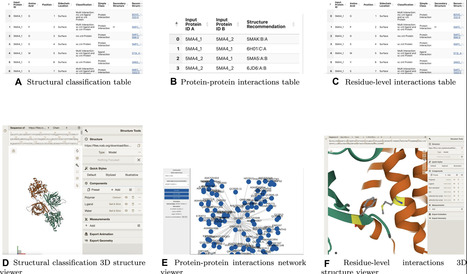 StructMAn 2.0 Web: a web server for structural annotation of protein sequences and mutations | nar | RMH | Scoop.it