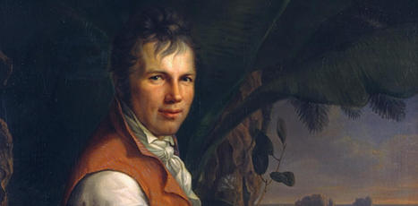 Le naturaliste Alexander von Humboldt, « inventeur » de l’écologie ? | Insect Archive | Scoop.it