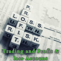Trading And Profit & Loss Account | MEANING OF ACCOUNTING | Scoop.it