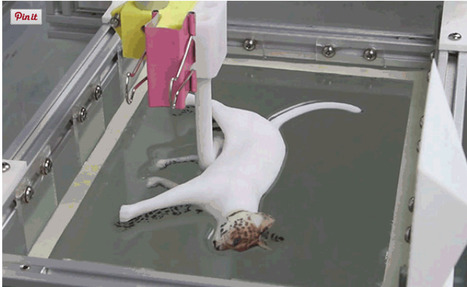 Hydrographic Way to Add Intricate Color Pattern to 3-D Printed Creations | Amazing Science | Scoop.it