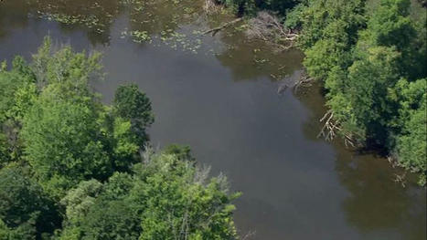 Huron River chemical spill: What is hexavalent chromium? / le 03.08.2022 | water news | Scoop.it