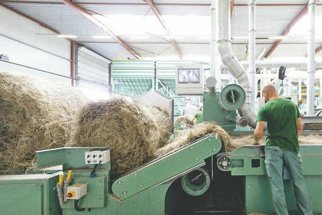 Les bétons végétaux à la croisée des chemins | Veille "Villes de demain" | Scoop.it