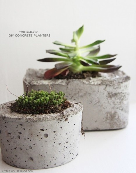 DIY: Concrete Planters | 1001 Gardens | 1001 Gardens ideas ! | Scoop.it