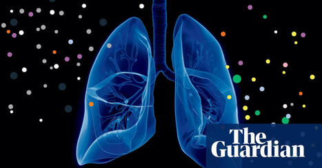 Avoid mould and ride a bike: 20 expert tips on how to look after your lungs for life. | Physical and Mental Health - Exercise, Fitness and Activity | Scoop.it