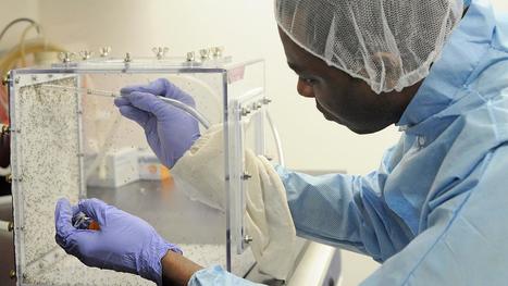 Canada. L&rsquo;Universit&eacute; de Calgary pionni&egrave;re dans la lutte contre la leishmaniose | EntomoScience | Scoop.it