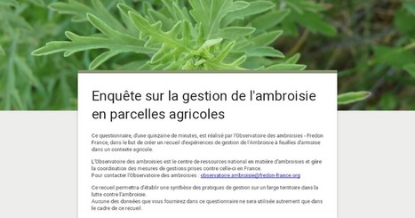 Enquête sur la gestion de l'ambroisie en parcelles agricoles  | Les Colocs du jardin | Scoop.it
