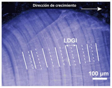 &iquest;Siempre ha habido eclipses solares y siempre los habr&aacute;? | Ciencia-F&iacute;sica | Scoop.it