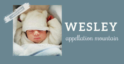 Baby Name Wesley: Quiet Classic | Name News | Scoop.it