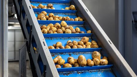 &laquo;&nbsp;Nous faisons face &agrave; des difficult&eacute;s qui deviennent structurelles&nbsp;&raquo;&nbsp;: les amidonniers, thermom&egrave;tre de l'agroalimentaire, forc&eacute;s de se r&eacute;inventer | Revue de presse du Centre de doc | Scoop.it