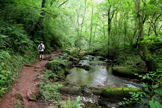 Territoires engagés pour la nature : des villes soucieuses du vivant | Environnement - Développement durable - Climat | Scoop.it