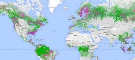 Near-REAL-TIME monitoring: Global Forest Watch | Le BONHEUR comme indice d'épanouissement social et économique. | Scoop.it