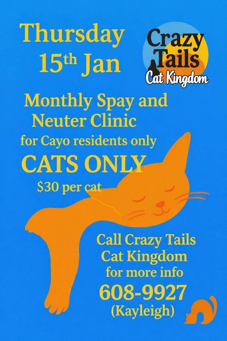 Crazy Tails Neuter Clinic 15-Jan-26 | Cayo Scoop!  The Ecology of Cayo Culture | Scoop.it
