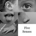 Enseigner les cinq sens | Ressources d'apprentissage gratuites | Scoop.it