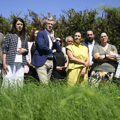 Adolfo Dom&iacute;nguez veut faire revivre le lin en Galice - FashionNetwork France | ENSAIT DOC | Scoop.it