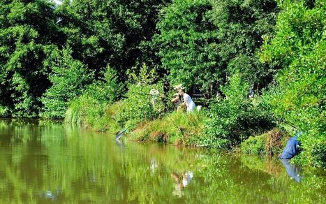 Un tour au lac : dans les Landes, la perle de la Chalosse a son écrin  | Landes | Scoop.it