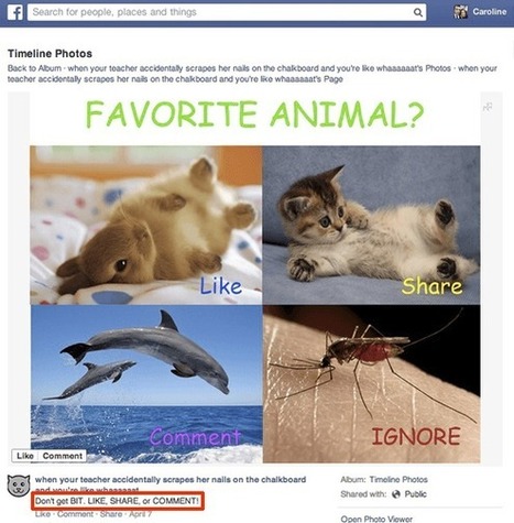 La claque de Facebook aux community managers | CONNECTED! | Scoop.it
