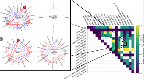 Synergy and antagonism in a genome-scale model of metabolic hijacking by bacteriophages | sadv | RMH | Scoop.it