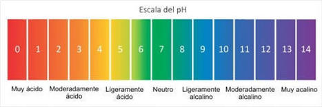 Enroque de ciencia: Acerca del pH: Medidas | Artículos CIENCIA-TECNOLOGIA | Scoop.it