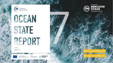 Un 7ème rapport sur l'état de santé des océans | HALIEUTIQUE MER ET LITTORAL | Scoop.it