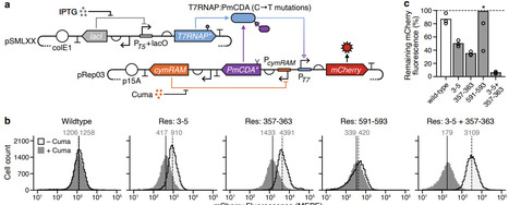 Structure-guided design of protein attachment points for functional augmentation of complex molecular machines | Brvbe | RMH | Scoop.it