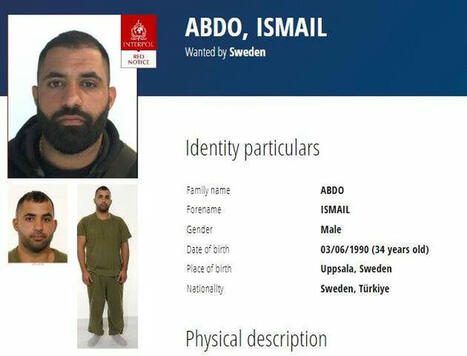 Näkökulma: Ruotsissa pelätään jopa kaaosta | 1Uutiset - Lukemisen tähden | Scoop.it