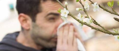 Des plantes contre les allergies saisonnières | Santé par les plantes | Scoop.it