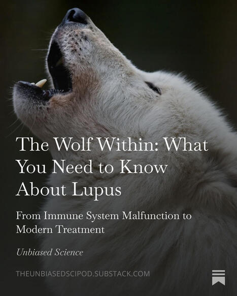 #scicomm | Kristin Rose Jutras, M.F.A. | AUTOIMMUNITY | Scoop.it