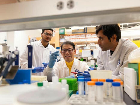 Crean nuevos implantes dentales que 'crecen' en tu boca como los dientes reales | Mi Cajón de Ideas | Scoop.it