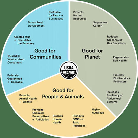 Forager Project - Why Organic | Local delivery for Gene Directed Enzyme Prodrug Therapy | Scoop.it