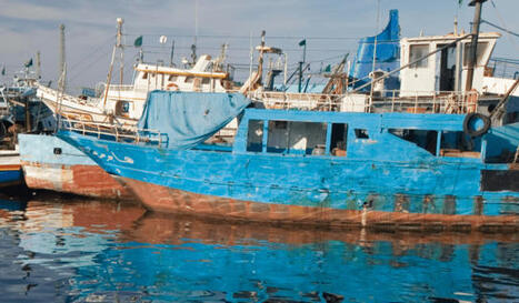 Zwara Fishing Expo 2026: LIBYA&rsquo;s Blue Economy Shift | CIHEAM Press Review | Scoop.it