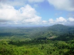 Stronger rights, protected forests, better livelihoods | &Eacute;cosyst&egrave;mes Tropicaux | Scoop.it