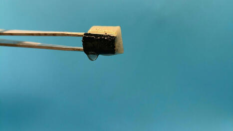 INNOVATIONS: Tiny wood-based sponge extracts drinking water from air using sunlight | INNOVATIONS | Scoop.it