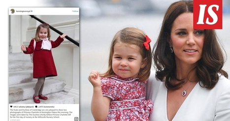 Iso eebenpuu aasit perseestä