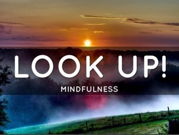 Leaders: Look Up and Engage with Mindfulness — Break The Frame | Mindfulness & The Mindful Leader | Scoop.it