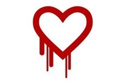 Les premiers piratages basés sur Heartbleed se font jour | Cybersécurité - Innovations digitales et numériques | Scoop.it
