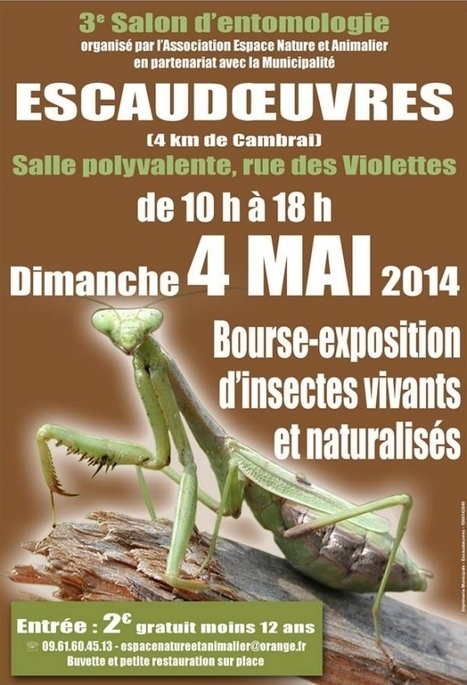 3e Salon d&rsquo;Entomologie &agrave; Escaudoeuvres (59) dimanche 4 mai 2014 | Vari&eacute;t&eacute;s entomologiques | Scoop.it