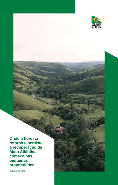 Forests | Biodiversity, Climate Change, Environment, Conservation, Forestry, Fisheries, Oceans and Coasts | Scoop.it