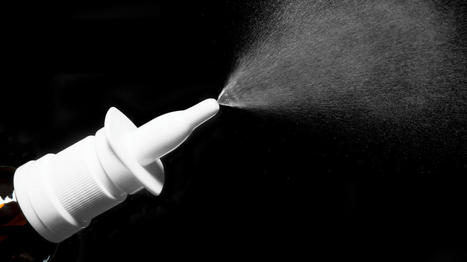 Intranasal COVID-19 Vaccine Shows Very Promising Preclinical Results – 24/7 Wall St. | Mucosal Immunity | Scoop.it