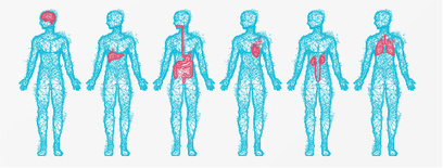 Educational Outcomes Measurements | CME-CPD | Scoop.it