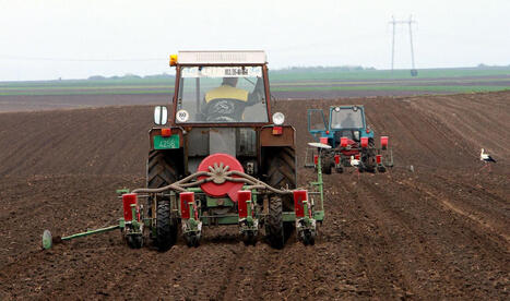 Wheat sowing 2026: Drought delays work in Serbia | MED-Amin network | Scoop.it