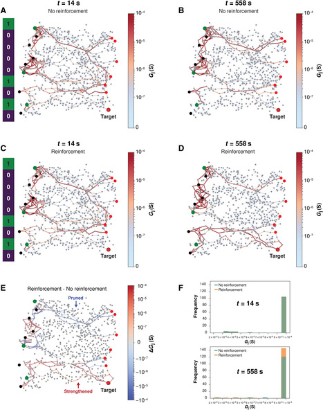 Neuromorphic learning, working memory, and metaplasticity in nanowire networks | Papers | Scoop.it