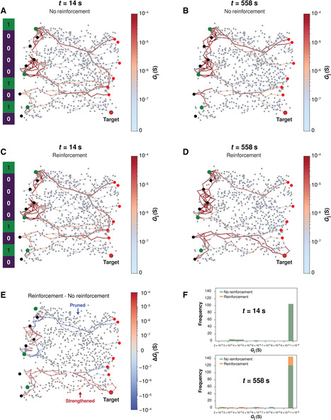 Neuromorphic learning, working memory, and metaplasticity in nanowire networks | Bounded Rationality and Beyond | Scoop.it