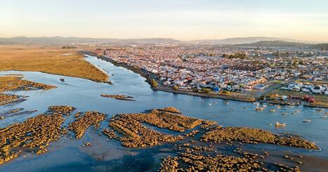 A Restoration Effort in Southcentral Chile Aims to Renew a Damaged Wetland | Industry 411 - Waste Management | Scoop.it