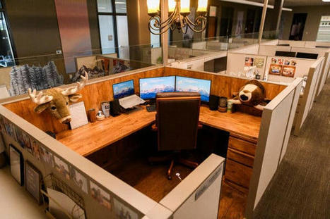 Cubicles Reappear in Offices as Employees Return | Learning spaces and environments | Scoop.it