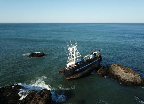 Judge: Tugboat skipper liable for Marin County oil spill – / le 01.05.2025 | Pollution accidentelle des eaux (+ déchets plastiques) | Scoop.it