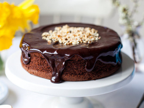 Donal Skehan's dark chocolate hazelnut mud pie recipe - IrishCentral | The Chic Chocolate Curator | Scoop.it