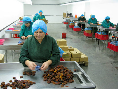 L'agriculture biologique prise au pi&egrave;ge de la grande distribution - Business - Basta ! | Chronique des Droits de l'Homme | Scoop.it